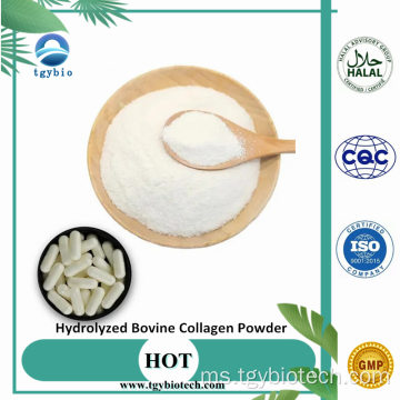 Bekalan Protein Kolagen Hydrolyzed Bovine Collagen Powder